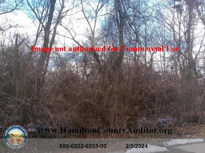 Photo 02/05/2024